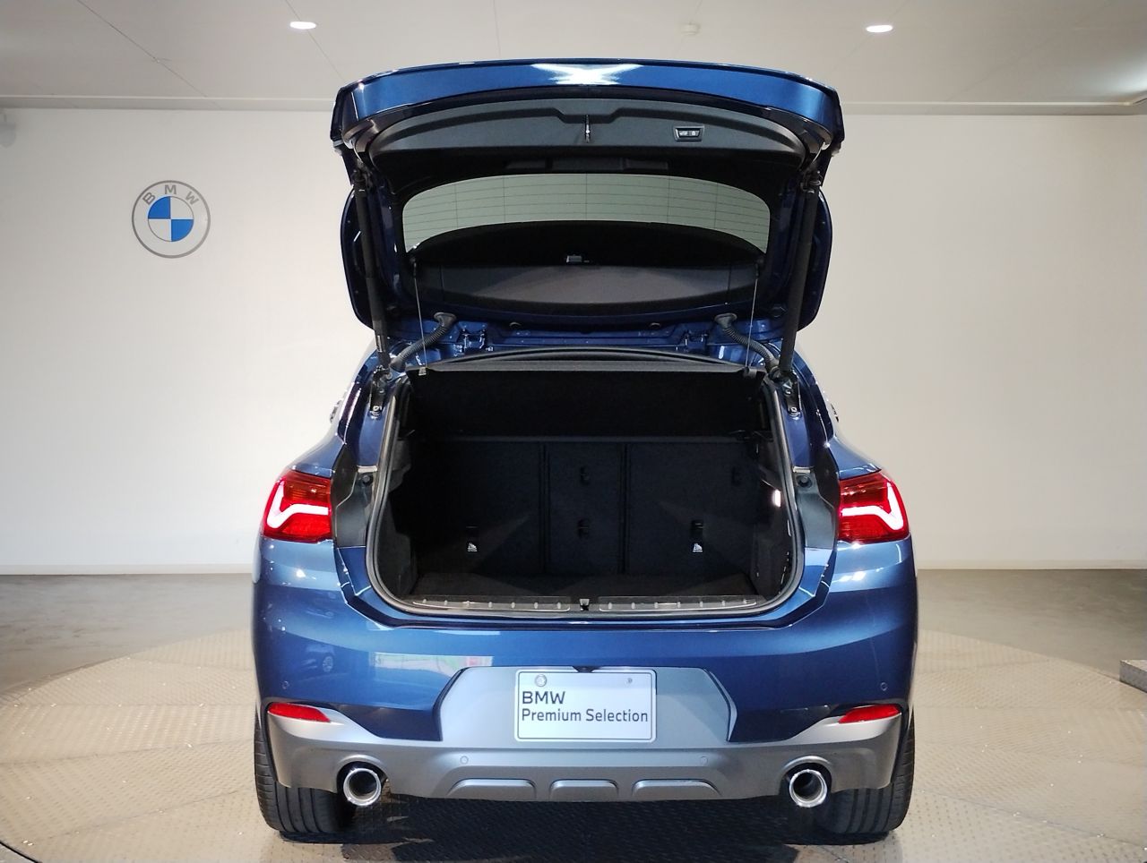 F39 X2 xDrive20d B47 2.0d