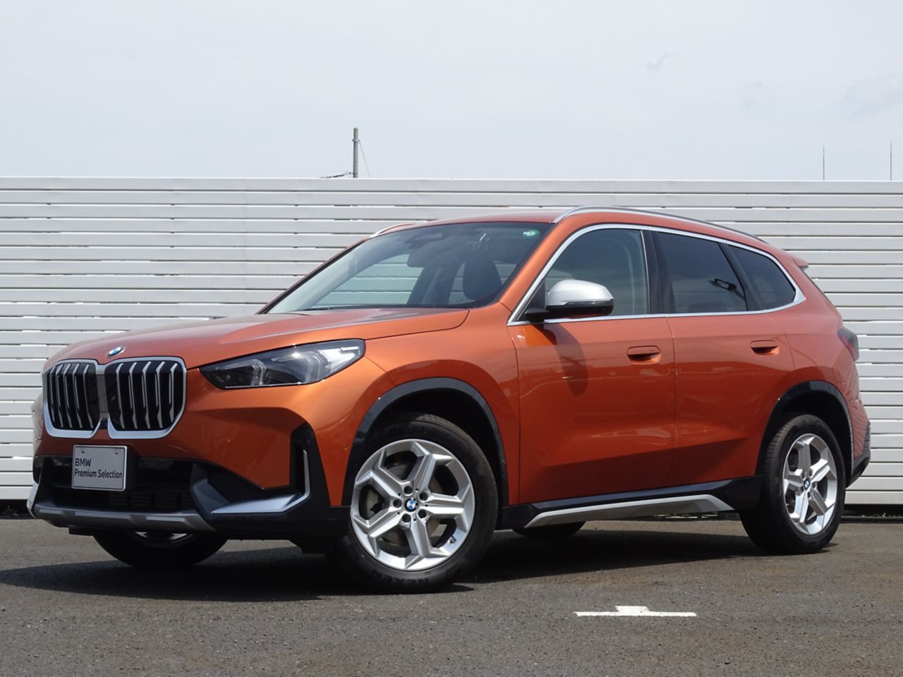 X1 xDrive20i xLine