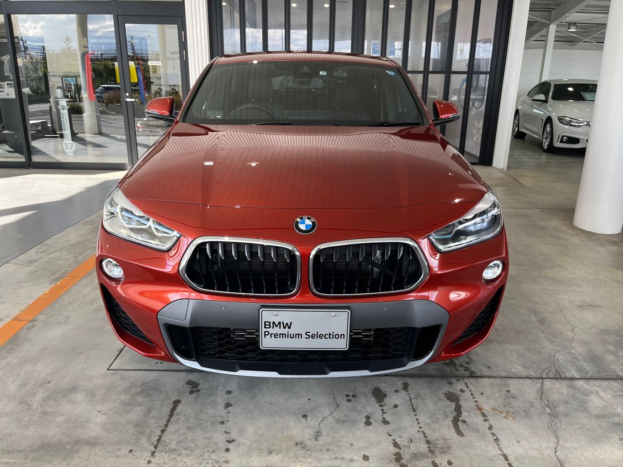 F39 X2 xDrive20i B48 2.0i SAC