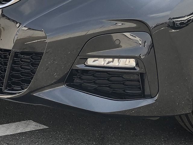 G21 318i Touring
