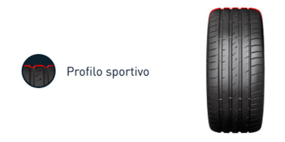 Profilo sportivo del pneumatico