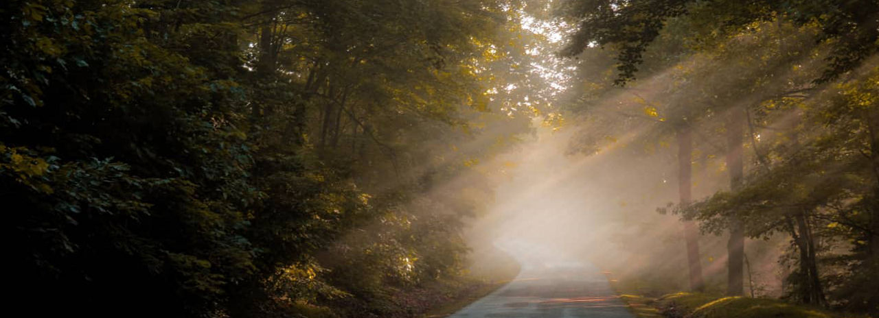 Dieses Bild zeigt eine verlassene und landschaftlich reizvolle Autobahn in einer kälteren Region.