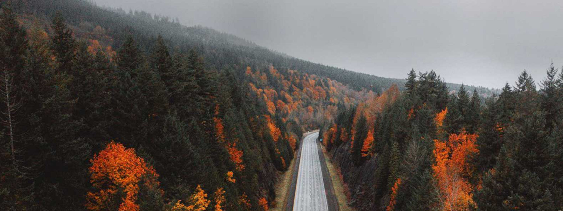Prazna cesta skozi gozd jeseni, ki simbolizira, da so pnevmatike Weather Control primerne za vse letne čase