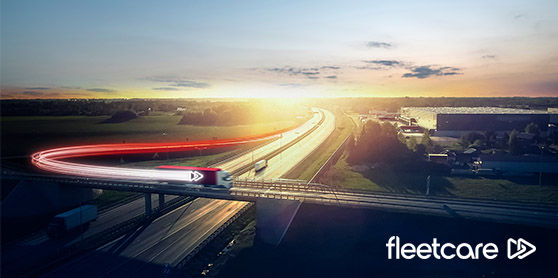 This image shows fleets that would benefit from Bridgestone's Fleetcare Mobility Solution.