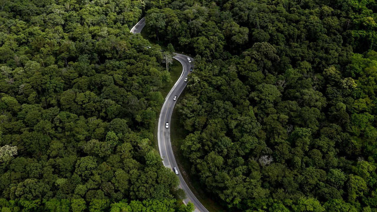 road through landscape