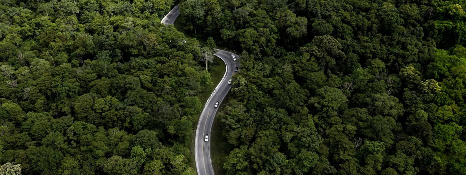 road through landscape