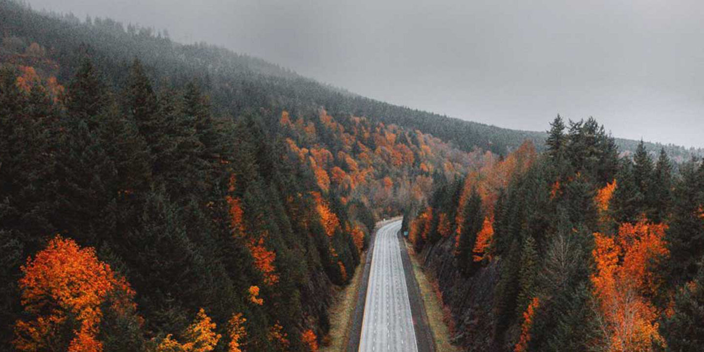 This image is of an empty highway going through a forest in the autumn season to show Weather Control is for all seasons