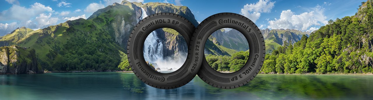 Tire figure eight on a tropical background