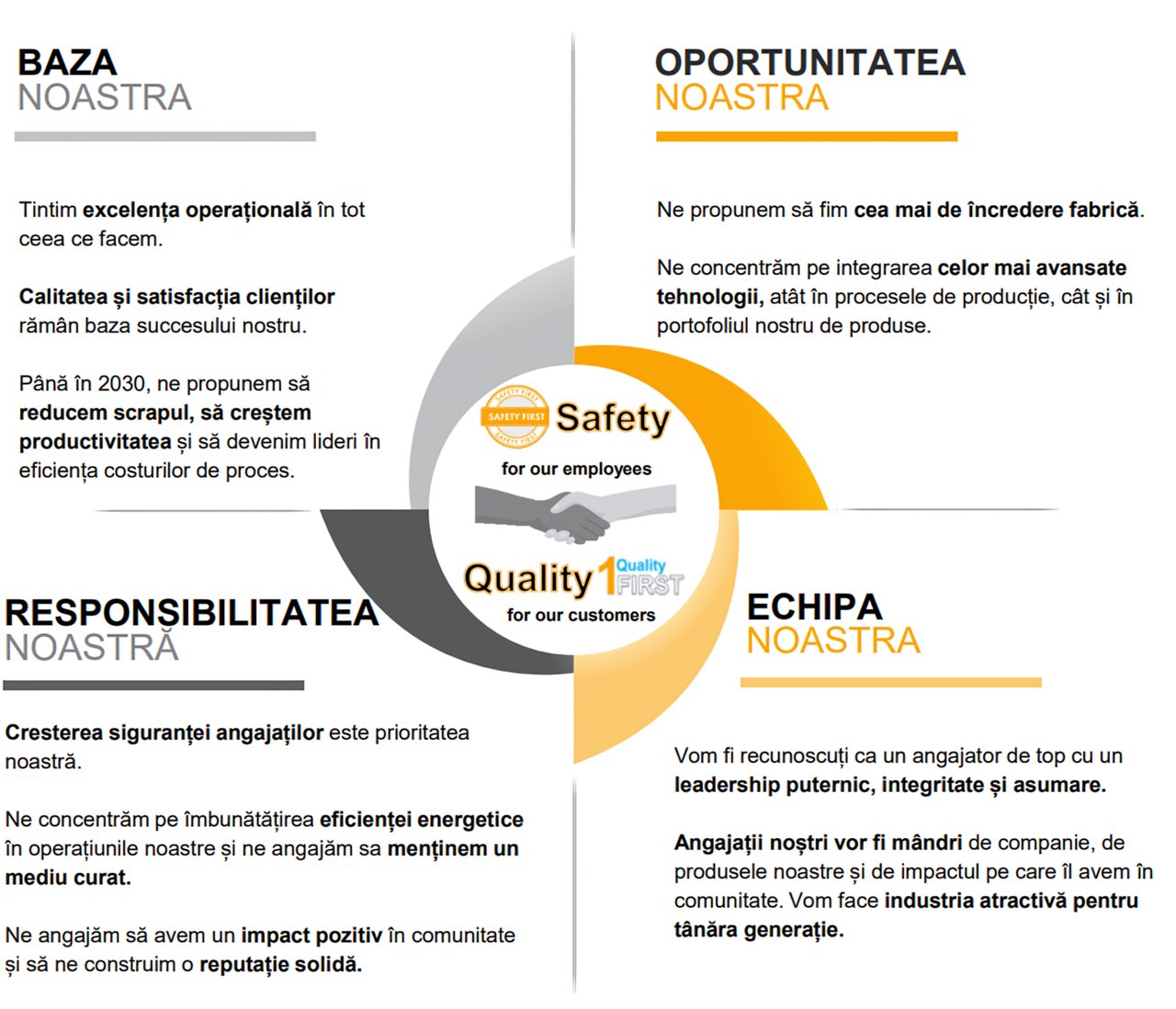 Viziunea Continental Anvelope Timisoara