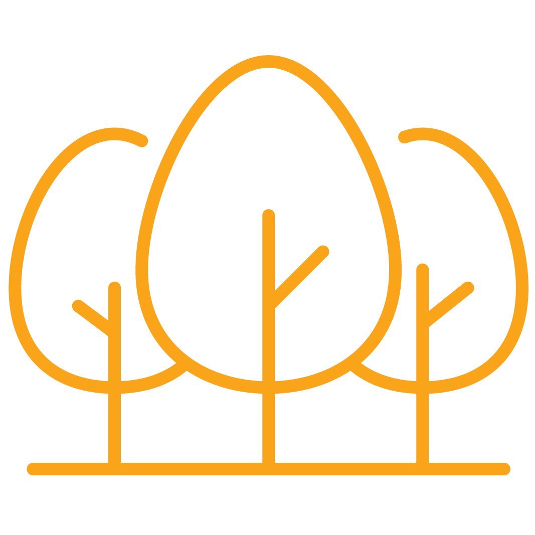 Three trees vector image