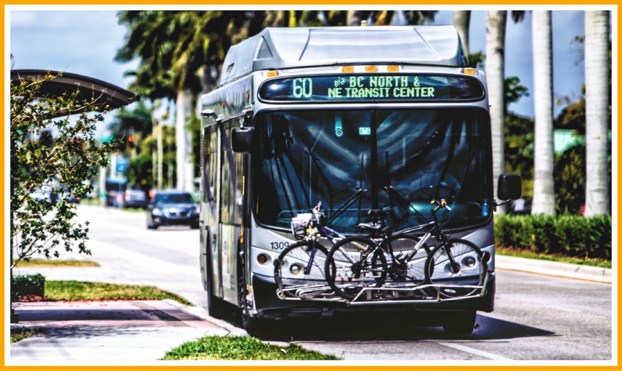 Route 60 bus to BC North & NE Transit Center with two bikes on front rack, palm-lined street in background.