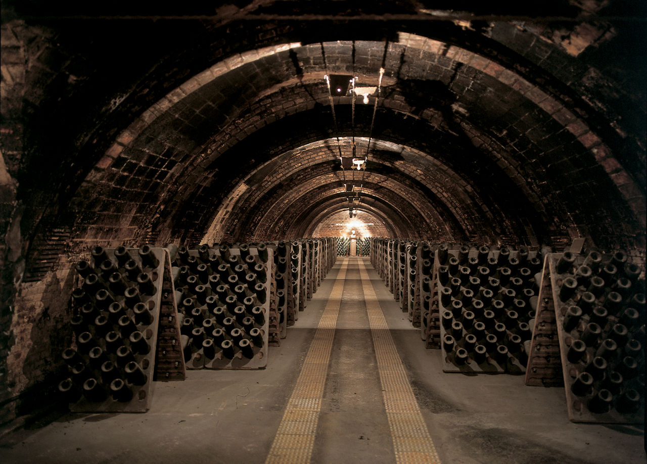 conjunt-de-les-caves-codorniu-museu17-16003-158