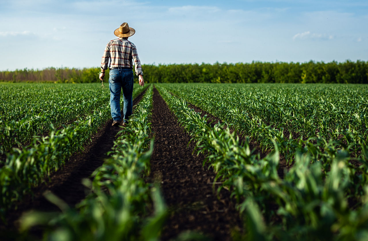 agricoltura
