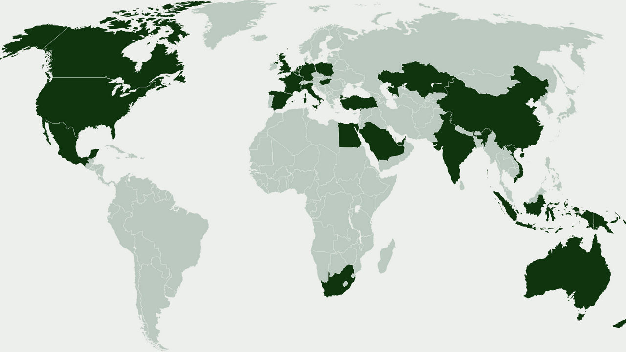 esperienza globale