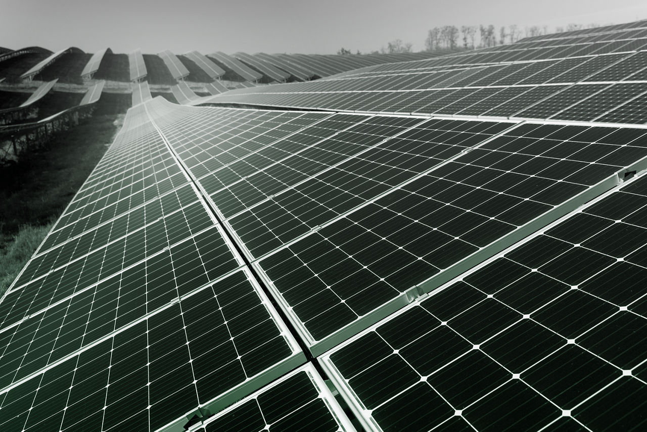 Protezione dell'ambiente