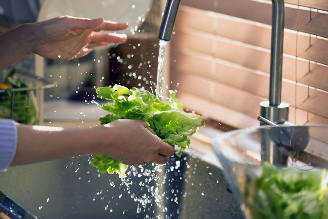 Close-up shot of hands washing fresh lettuce under running water in a kitchen sink. The sunlight streams through the window blinds