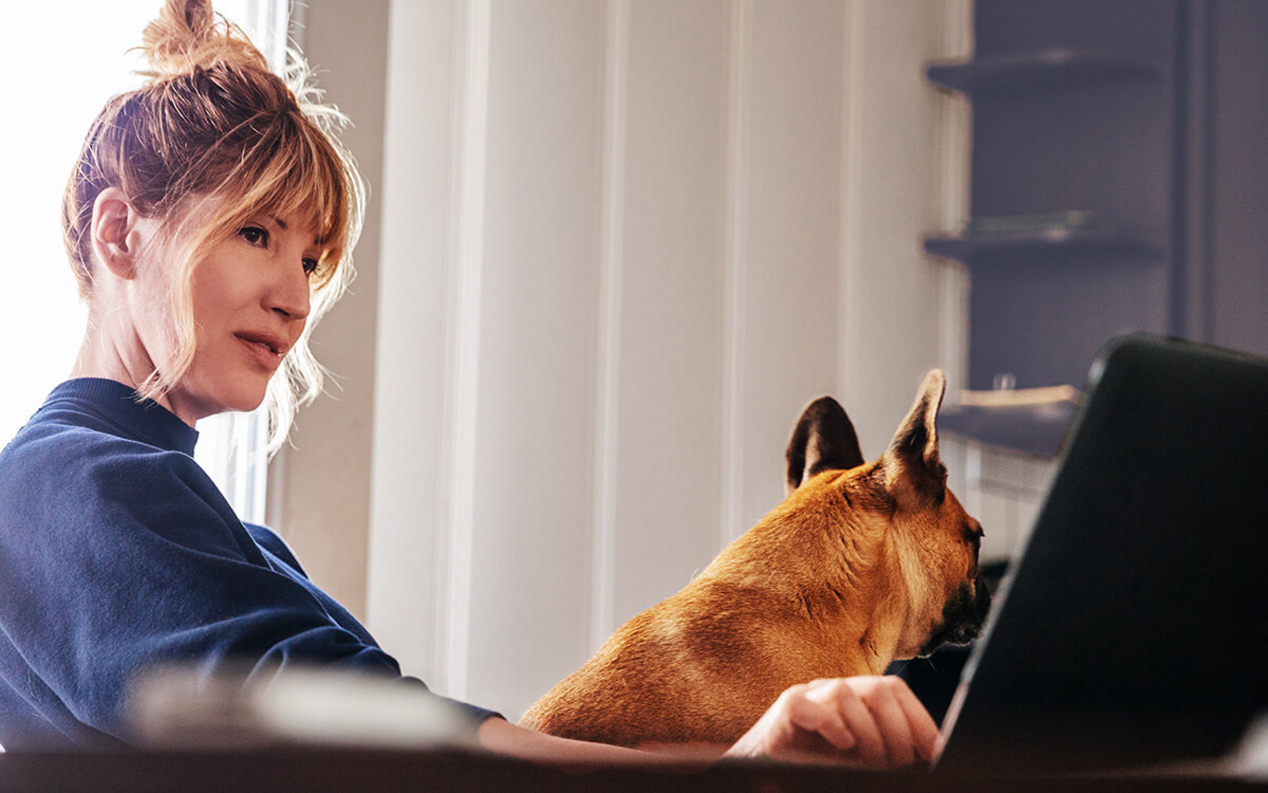 Eine Frau mit Hund auf dem Schoß sieht auf ihren Laptop