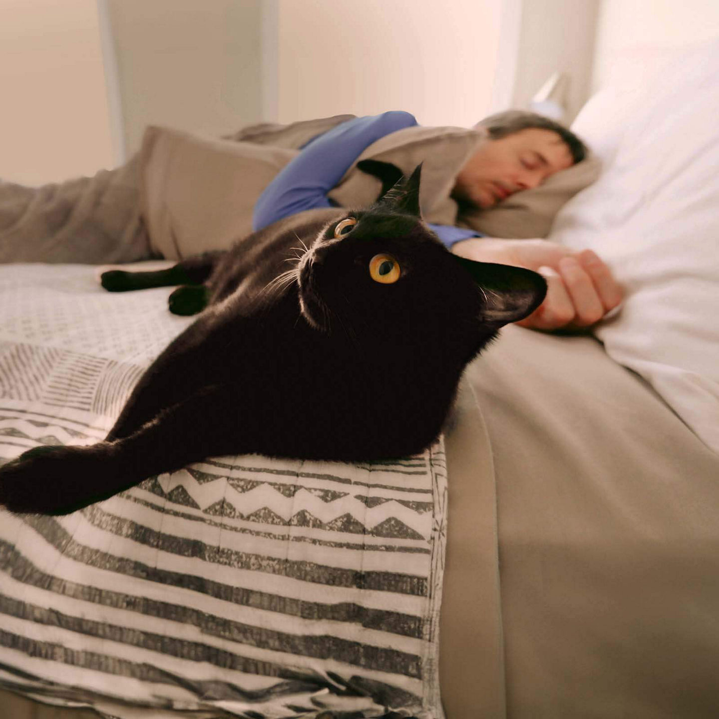 Eine schwarze Katze liegt im Bett neben einem schlafenden Mann