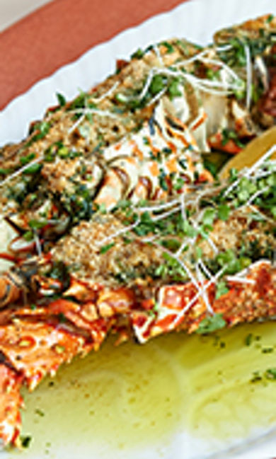 Flamingo Room Diriyah lobster