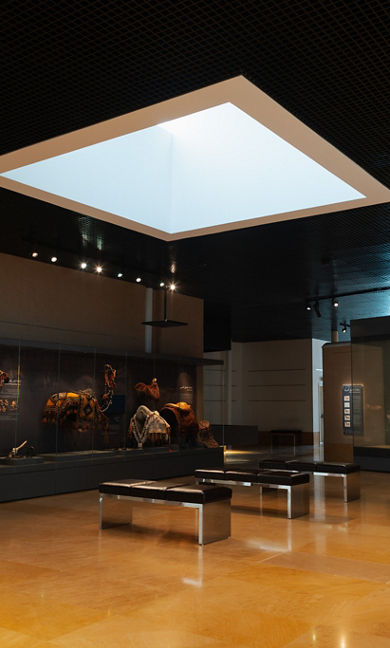 Arabian Horse Gallery Diriyah Horse Exhibit