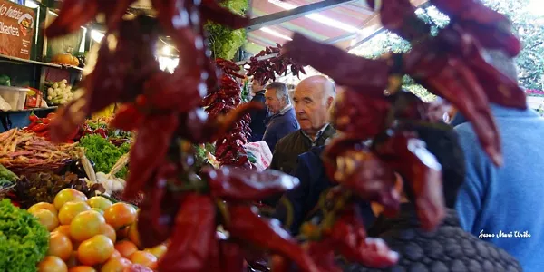 Último lunes de octubre, en Gernika. Foto: Jesus Mari Uribe Martija.