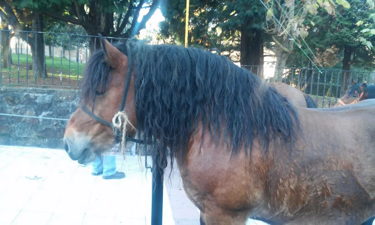 Argazkia: EiTB.EUS
