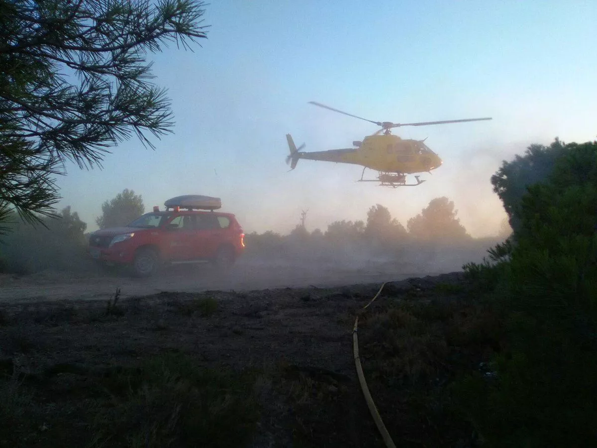 FALTSEZ FALCES SUTEA BOMBEROSNAVARRA