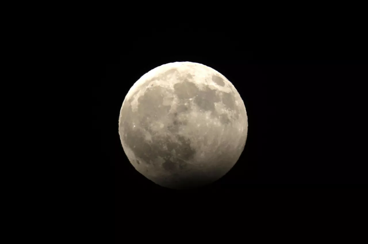 Palestina. Foto: EFE.