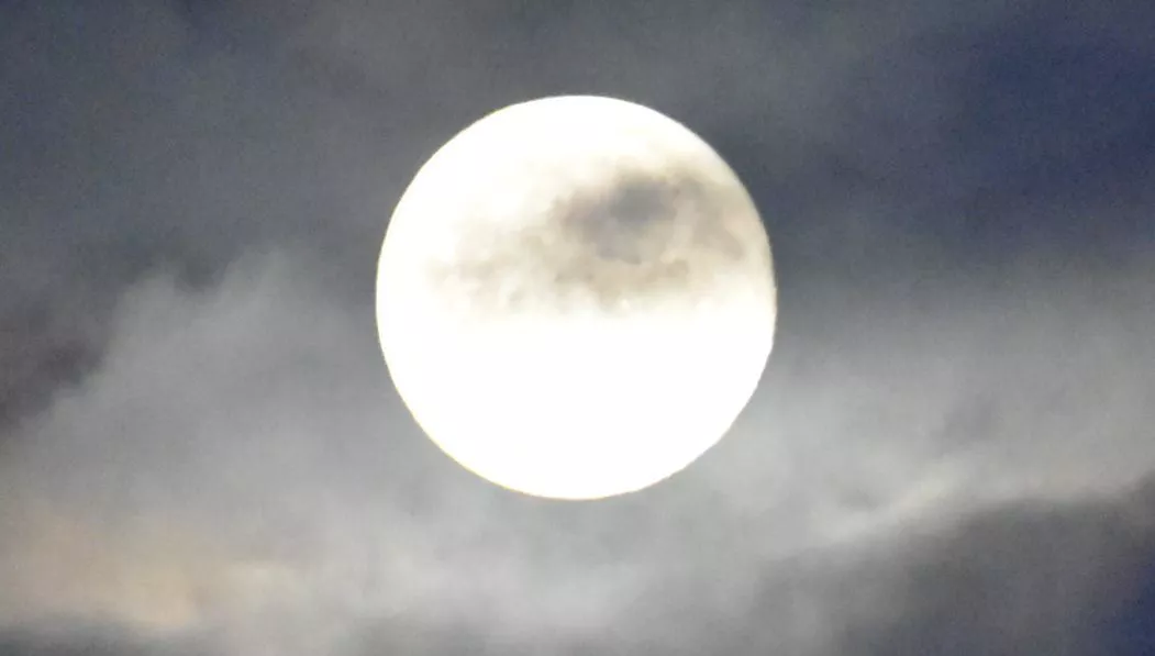 Altzo. Foto: Txomin Rezola. 