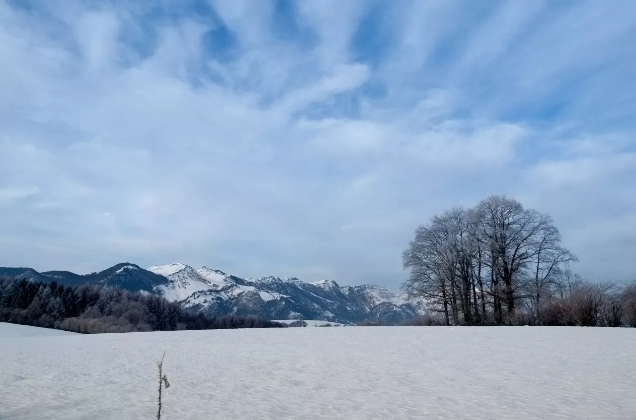 Elurra Lasarte-Oria Nieve. Jose Angel Hidalgo
