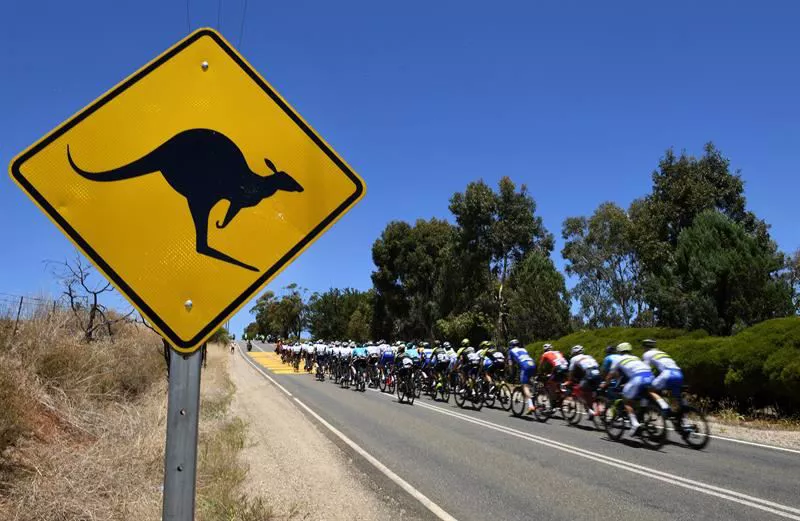 TOUR DOWN UNDER ciclismo peloton