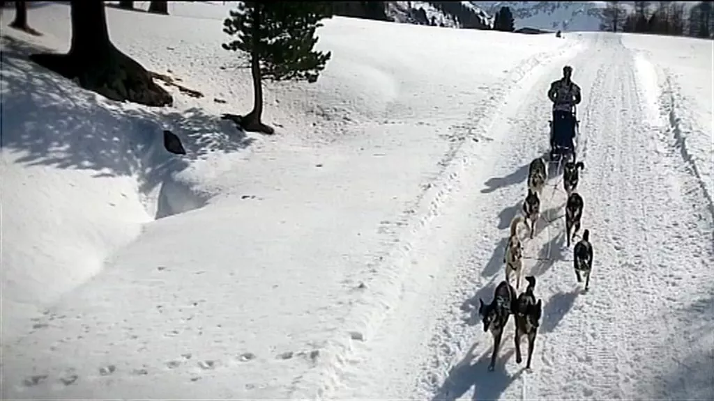 20180209121402_musher_