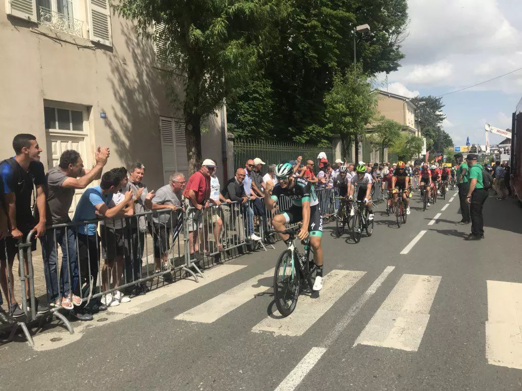 ACKERMANN DAUPHINE FOTOBORA