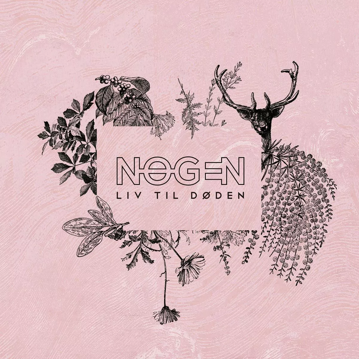 Nogen