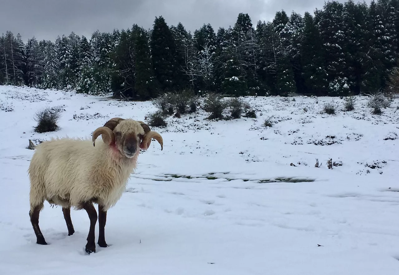 Urkiola. Foto: Alex Cuesta