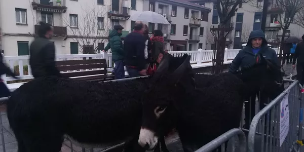 Feria de Santa Lucía 2018 en Zumarraga y Urretxu. Foto: eitb.eus