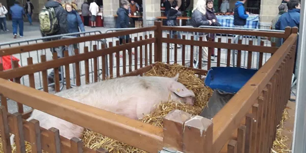 Fería de Santo Tomás de San Sebastián 2018. Foto: EiTB