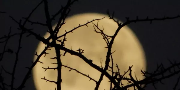 Aralar (José Luis Azpiroz)