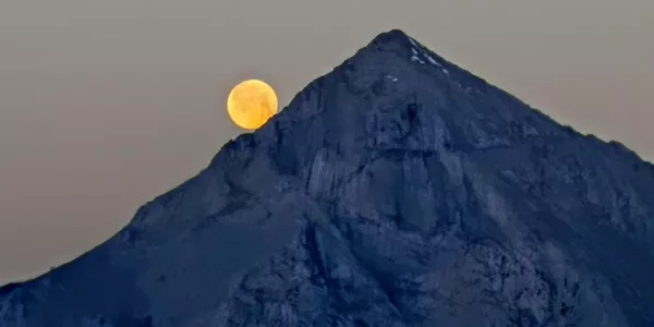 Udala (Jose Luis Madina)