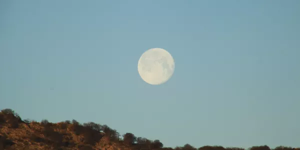 Luna de gusano en Durango. Foto: Victor Uriarte.