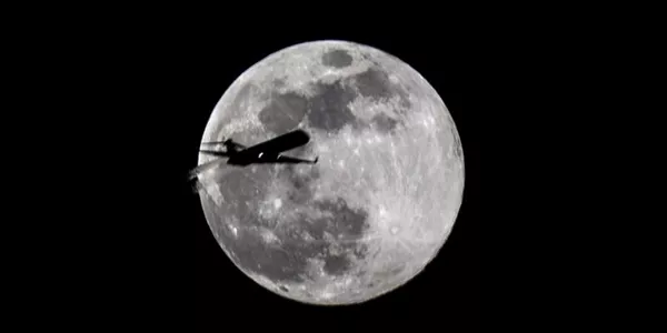 Luna de gusano en Alemania. Foto: Efe.