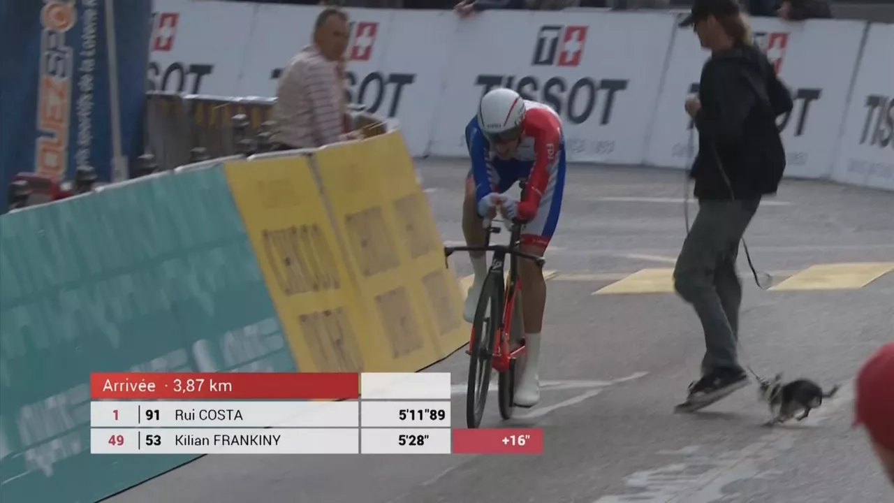 20190430193436_frankiny_