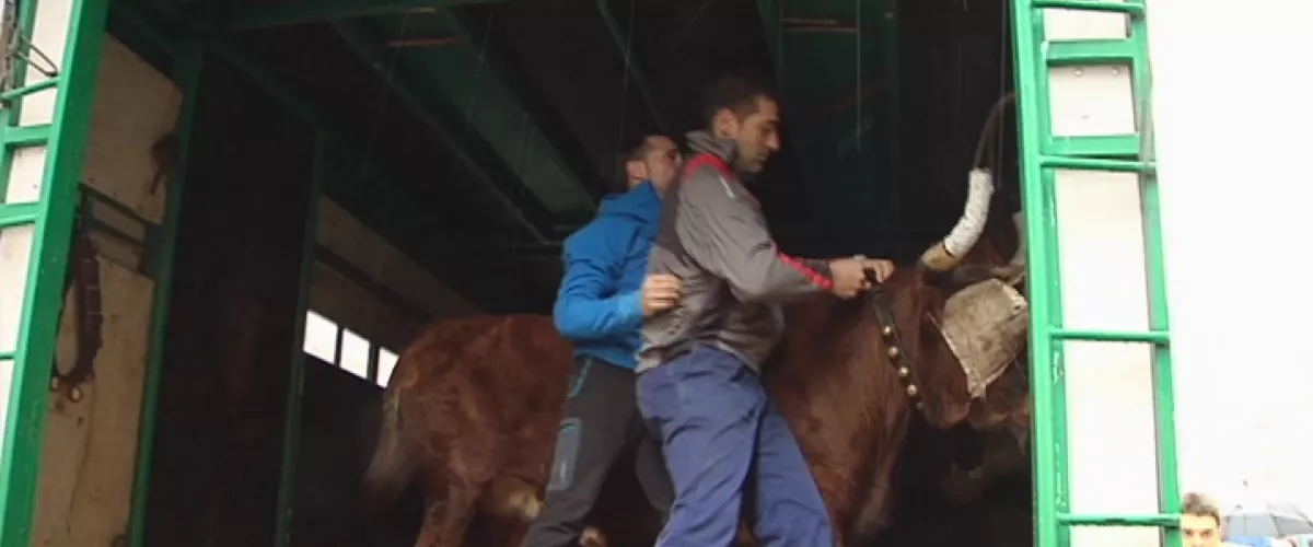 20190503144233_sokamuturra_