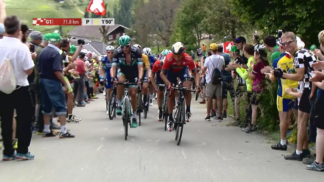 20190616155416_chuderhus-suizai_