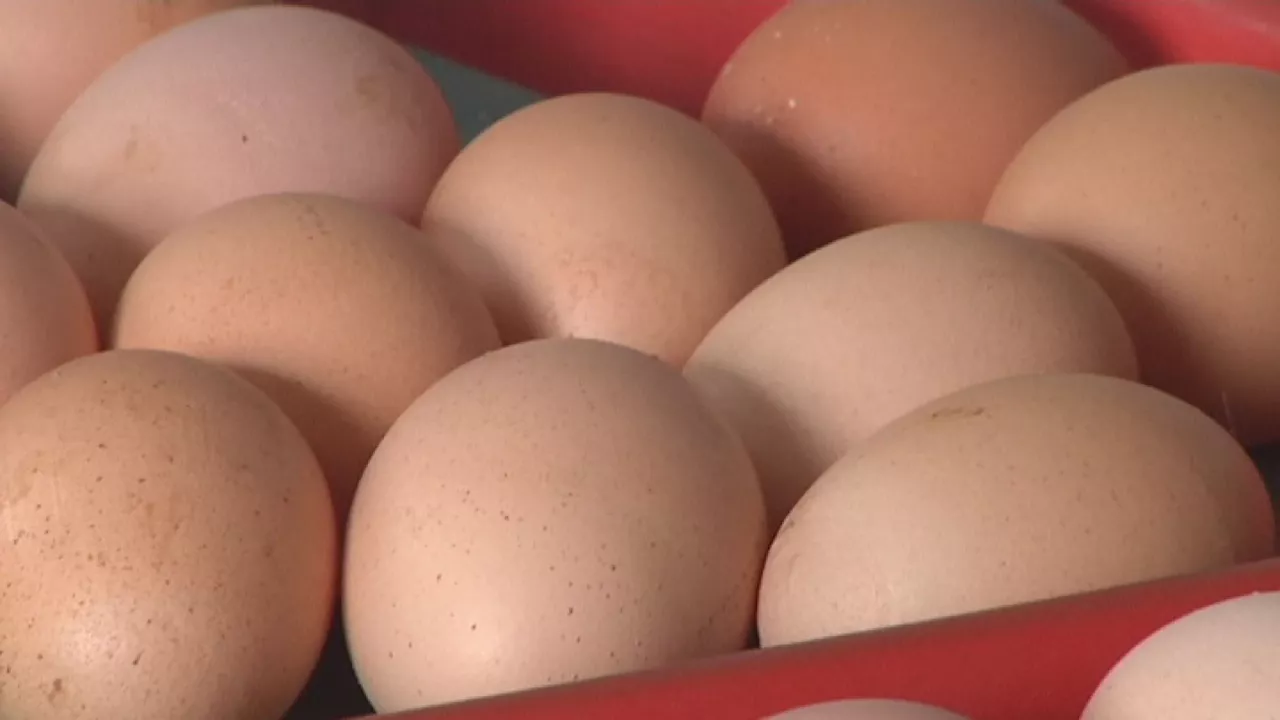 20191002142035_arrautza-huevos_