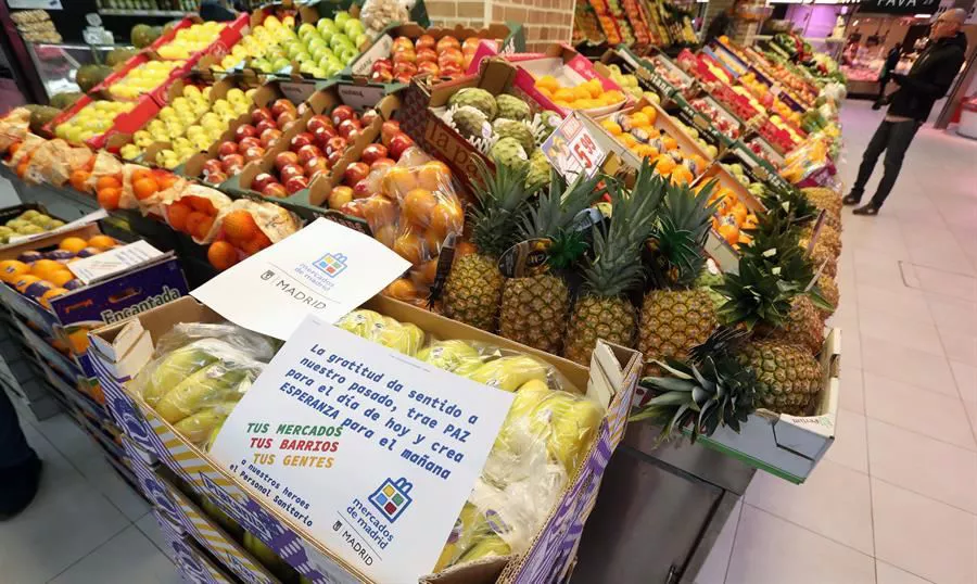 Fruta eta barazkiak. Argazkia: EFE