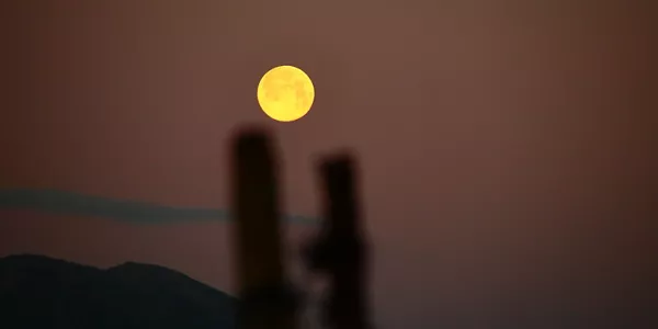 Iurreta (Txaro Ortiz de Zárate)