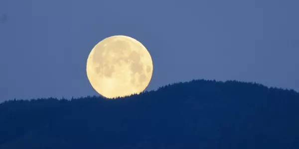 Azpeitia (Joxe Mari Arruabarrena)