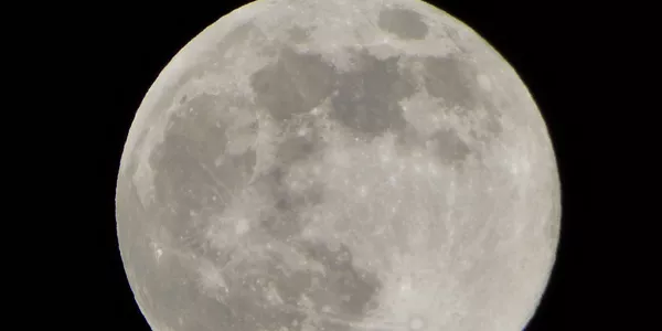 Leitza (Josu Sukuntza)