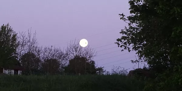 Mungia (Juanma Garai)